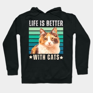 Life Is Better With Cats Classic Hoodie